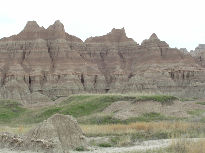 P5156443