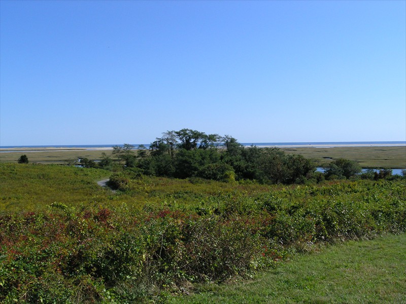 P9309606