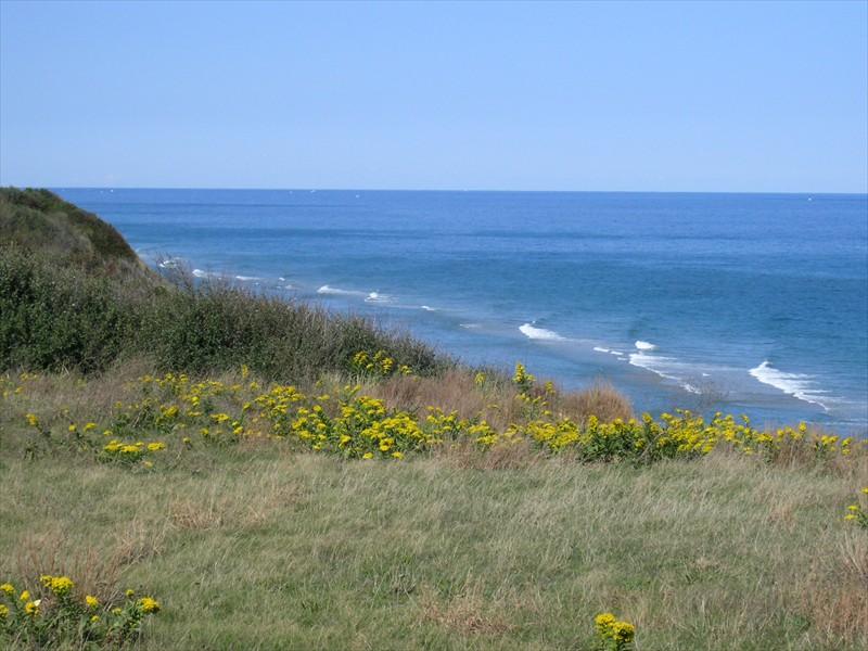 P9309628