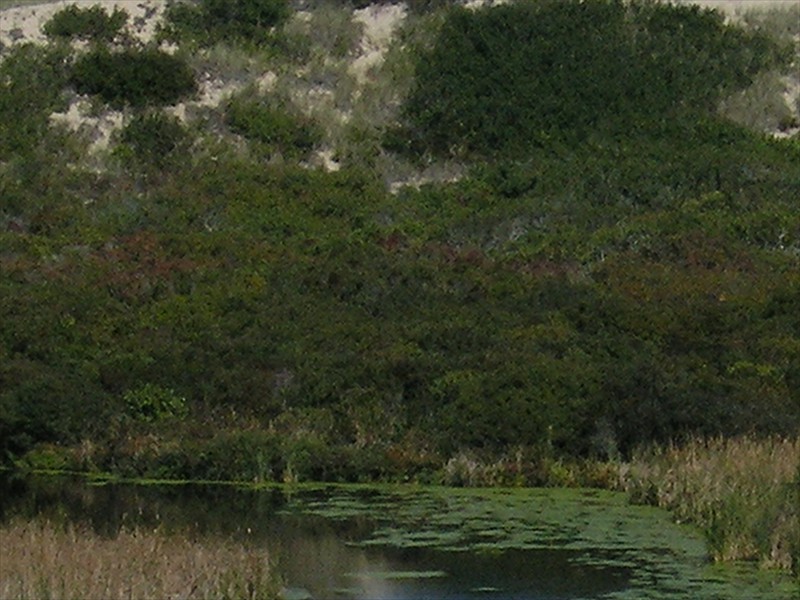 P9309644
