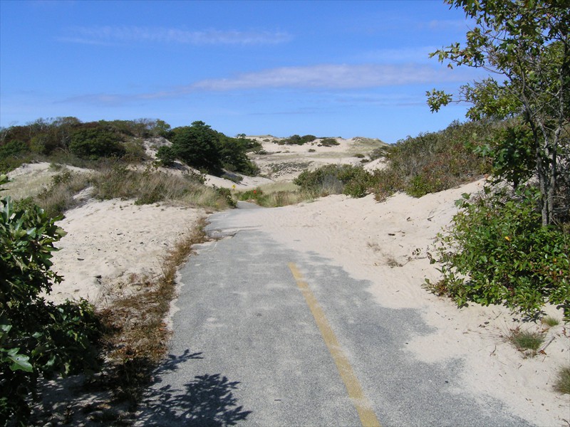 P9309655