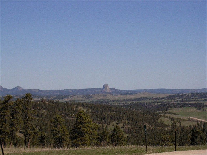 P5176619
