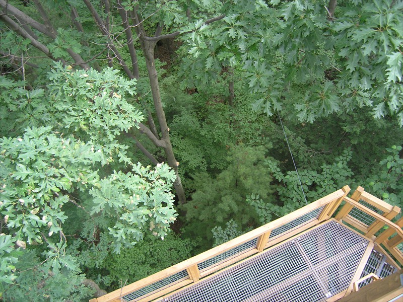 P6292983