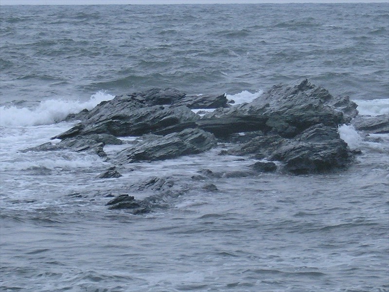 PA019765
