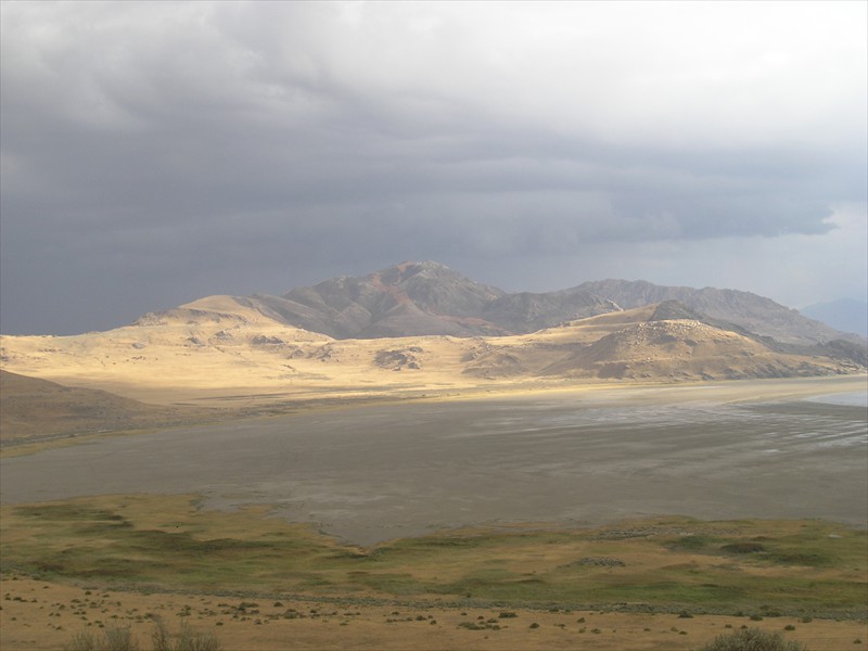 P9143395