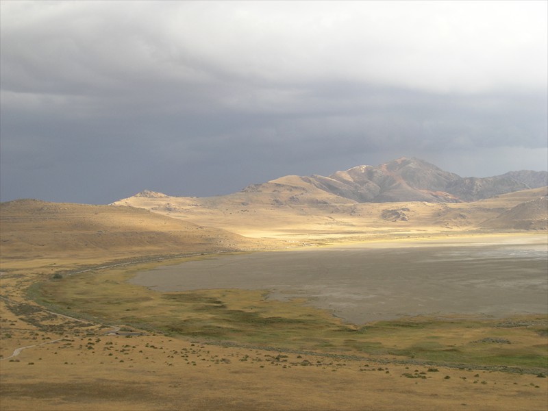 P9143402
