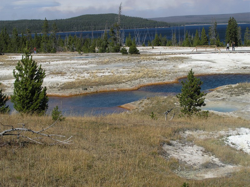 P9113239