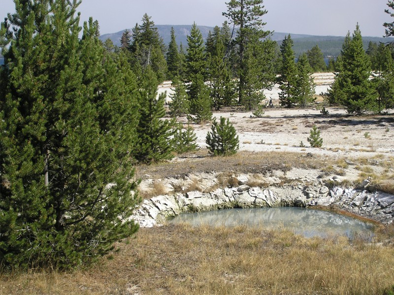 P9113268