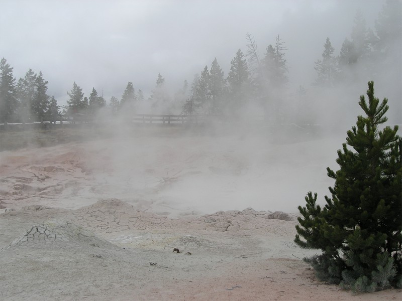 P9133326