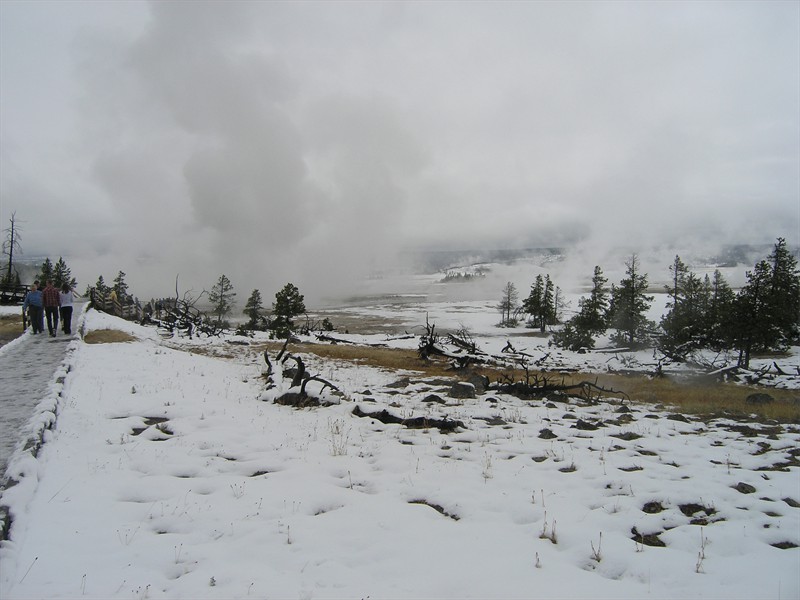 P9133335