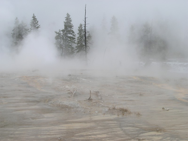 P9133350