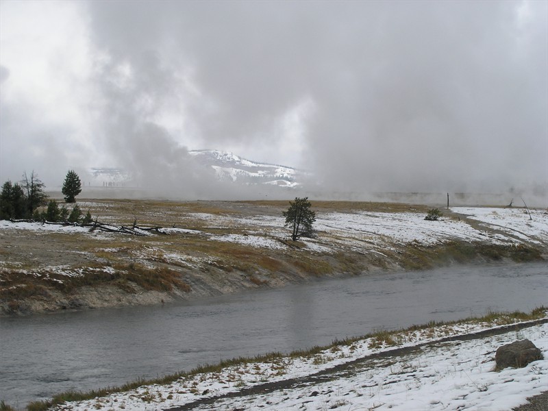P9133354