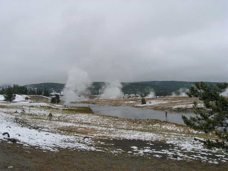 P9133356